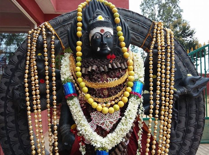 Look into the eyes of Death before He stares at you