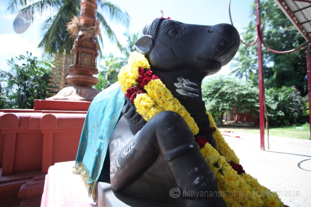 Always establish yourself by contribution, not by throwing&nbsp;tantrum