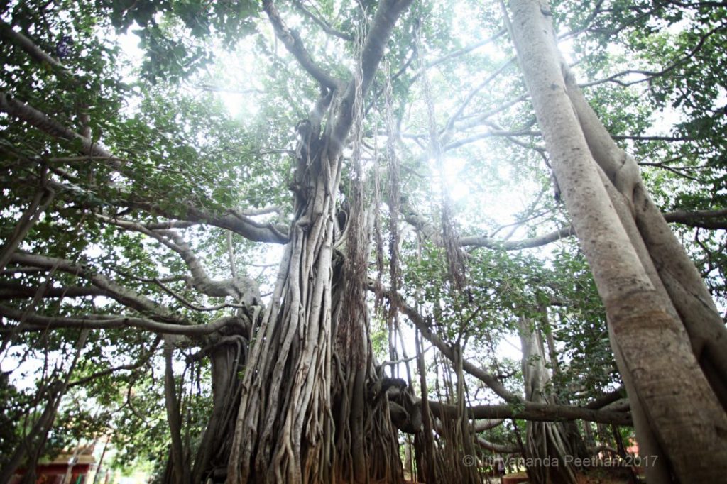 Power manifesting capabilities, power manifesting abilities comes from the space and understand You are that!