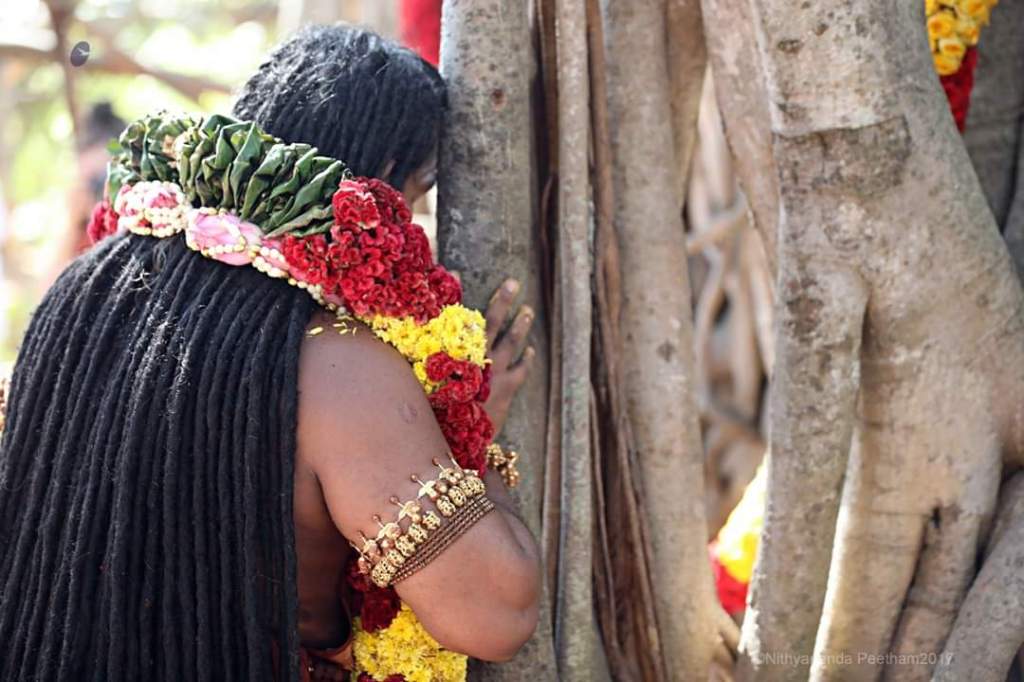 Meditation technique to experience expanded&nbsp;awareness